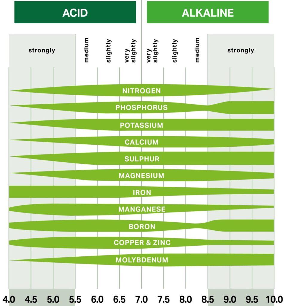 analisi suolo alcalina acida